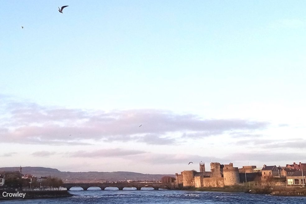 Limerick castle and the river Shannon. Birds fly overhead.