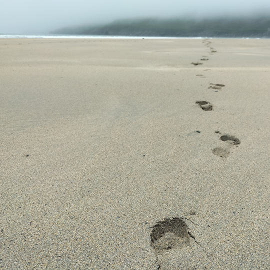 My photo of footprints in sand, the sea in the distance, cliffs, and mist.