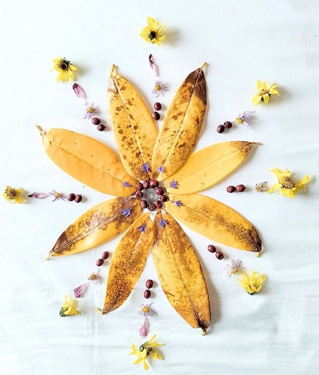 Yellow leaves. Flowers and rowan berries. Silver spiral in the centre. Yellow and pink flowers, all arranged into a flower shape. White background.