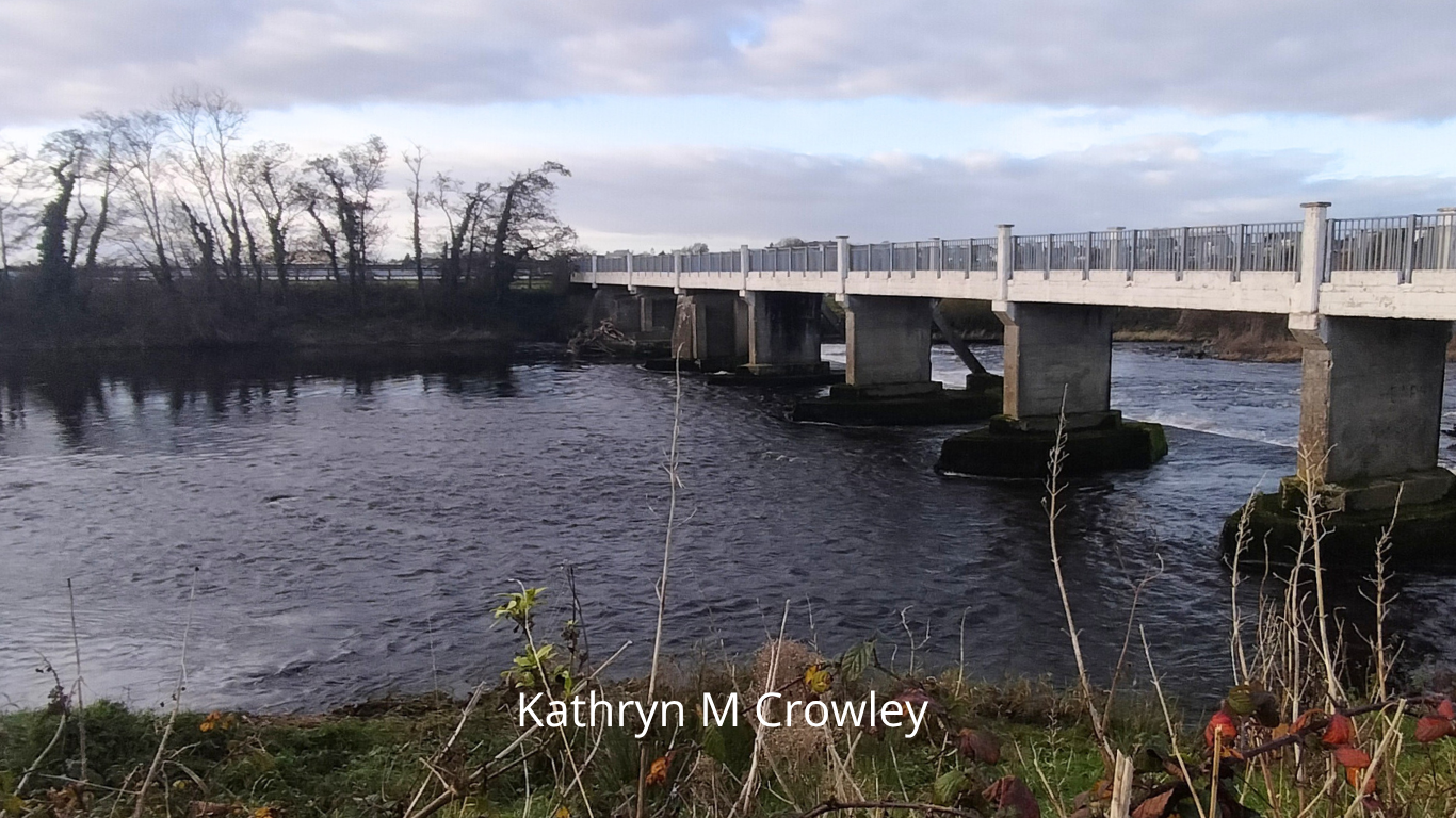 River Feale flowing under a bridge. Bare trees are growing at the edge of the water.