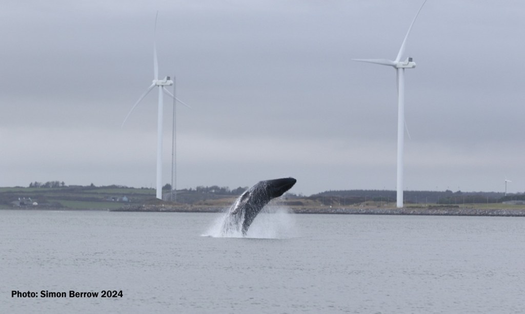 Foinse: the ocean and&nbsp;us