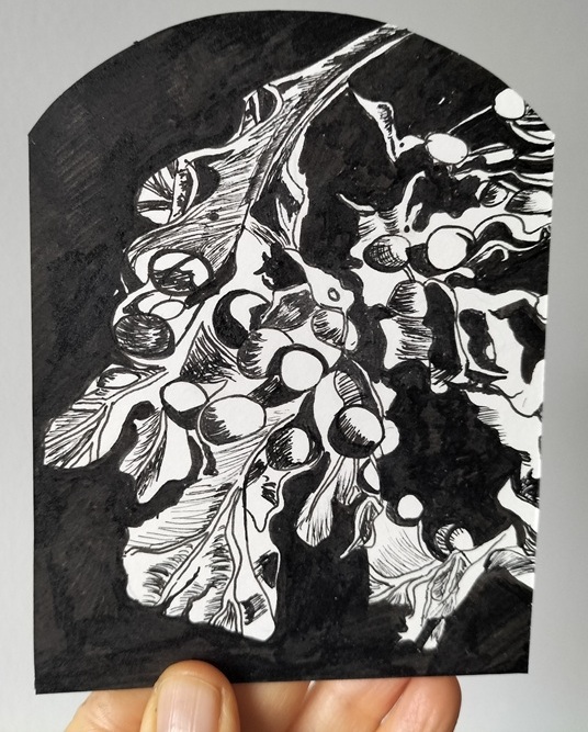 Seaweed sketched in black ink