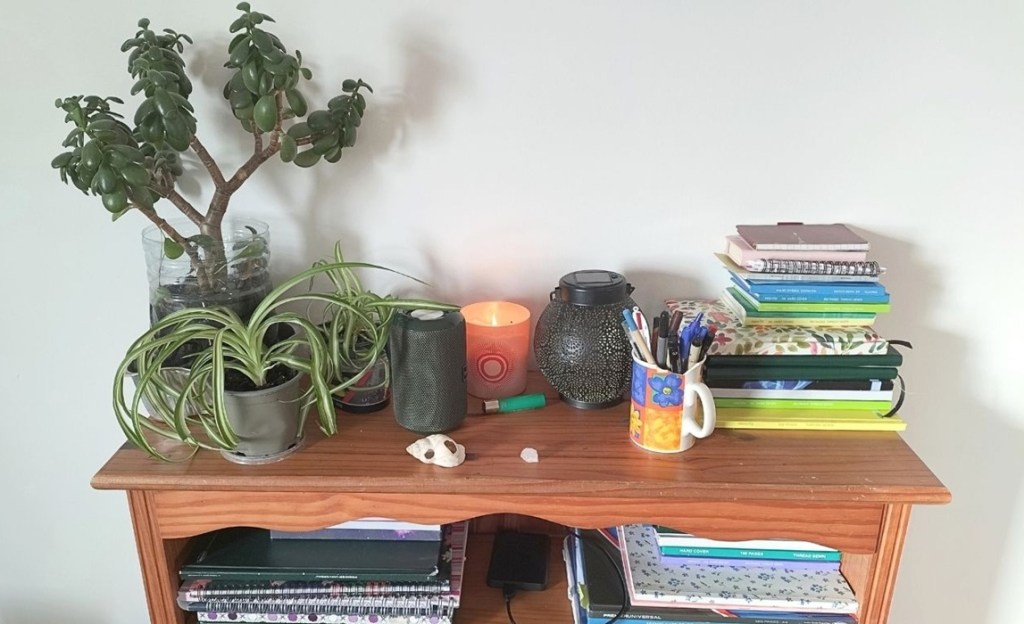On a bookshelf are lots of notebooks, plants, and a candle.